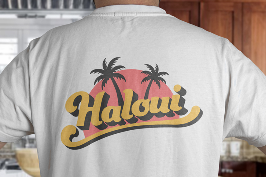 Haloui2
